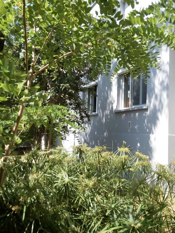 Grand Studio Proche Transport Montpellier Bagian luar foto