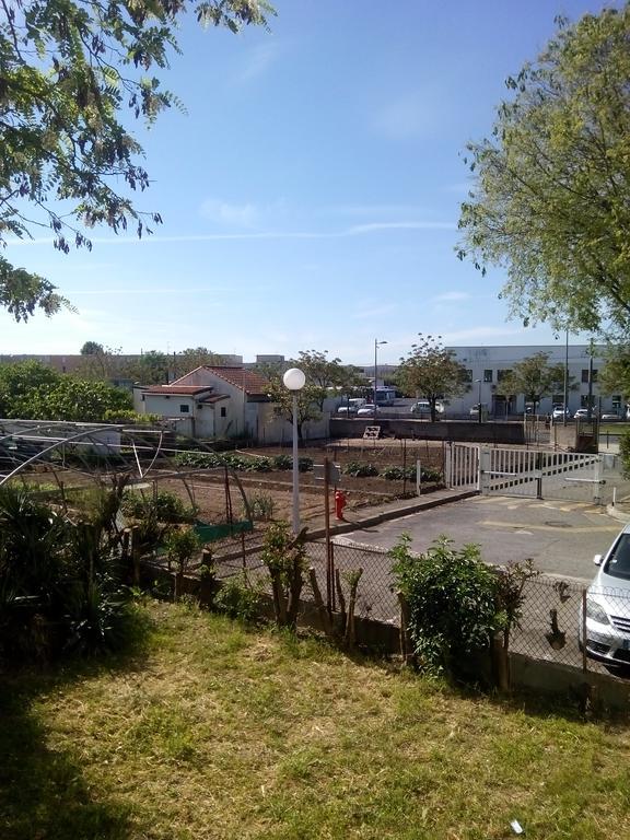 Grand Studio Proche Transport Montpellier Bagian luar foto