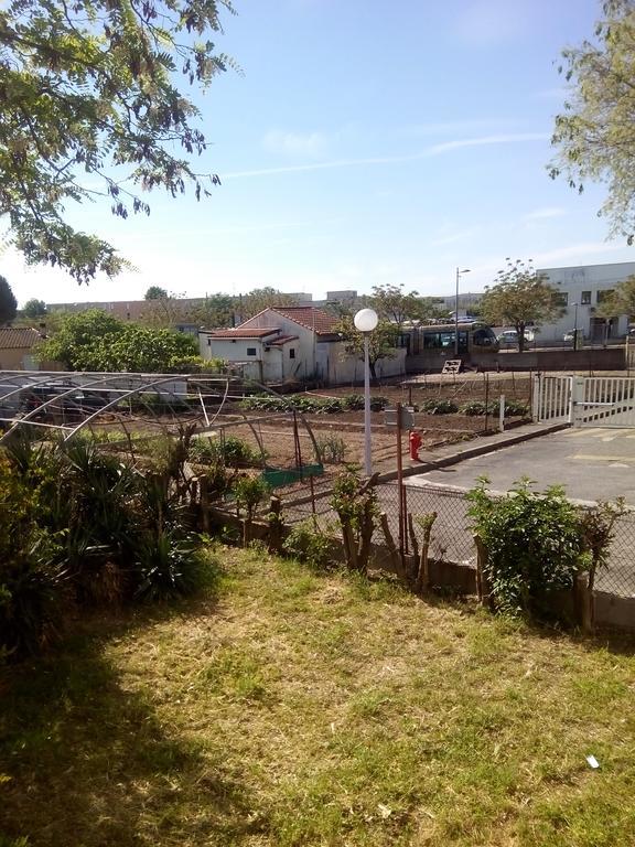 Grand Studio Proche Transport Montpellier Bagian luar foto