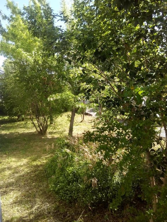 Grand Studio Proche Transport Montpellier Bagian luar foto